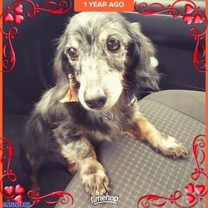 Meet your Posher, Aimee